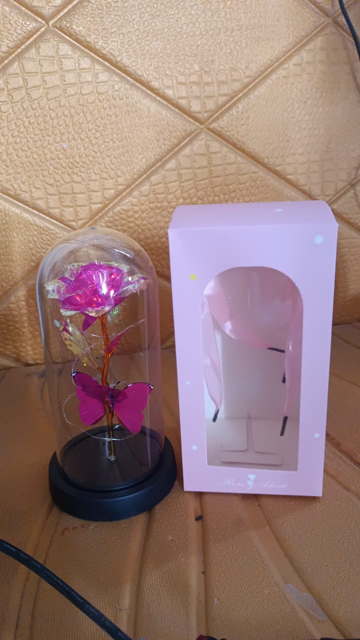 LED Decorative Rose with Butterfly in Transparent Plastic Dome (1 Pc / Battery Not Included) LED Decorative Rose with Butterfly in Transparent Plastic Dome (1 Pc / Battery Not Included)